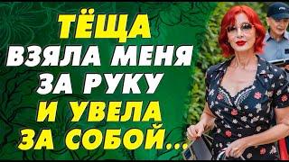 Тёща и зять одни на даче…
