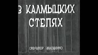 В Калмыцких степях