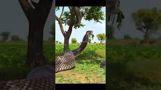 The world's largest snake appeared in the fields, which is 150 feet long #youtubeshorts