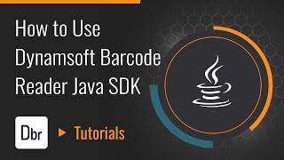 How to Use Dynamsoft Barcode Reader Java SDK | Dynamsoft Tutorial