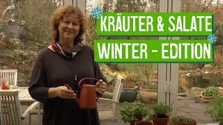 Salat- und Kräuteranbau im Winter - Der Grüne Tipp