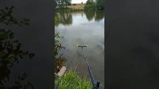 Shimano x1 feeder rod and Pellet waggler