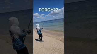 Wasn't the fish i thought but better by 2 times!!!