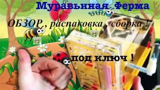 Муравьиная Ферма обзор , распаковка , сборка . ( полные комплекты ТУТ ! )
