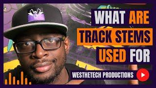 WHAT ARE TRACK STEMS USED FOR | MUSIC INDUSTRY TIPS