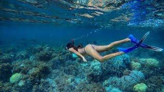 BEST SNORKELING IN THE WORLD | MALDIVES