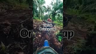 Vlog Ojek Sawit Di Lahan Tanah Gambut #ojeksawit #rokanhilir #buruhlangsir #tandanberduri #shorts