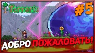 Строительство Коммуналки! (Террария)/ Terraria Calamity Mod