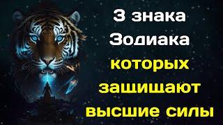 Нострадамус назвал 3 знака Зодиака которых защищают высшие силы