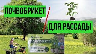 Брикет для рассады