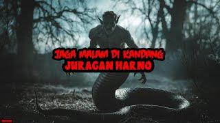 KISAH MISTERI - JAGA MALAM DI KANDANG AYAM JURAGAN HARNO - THREAD HORROR