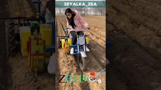 seyalka-zea #seyalka #сеялка #agriculture #traktor #apparat #uz #uzbekistan #uzbek  #uloq_kokpari