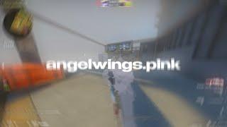 nl hvh | highlight & angelwings.pink