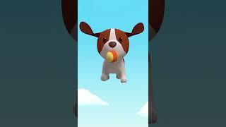 LETS PLAY FETCH WITH HERO!  | Leo the Wildlife Ranger | Kids Cartoon | #shorts #animals #animation