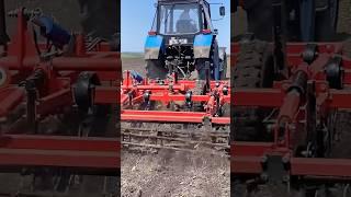 Культивация трактором МТЗ  #mtz80 #культиватор #сезон2024