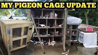 My Pigeon Cage Update | Green Lives | Pigeon Cage Update | Pigeon In Kannada