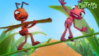 High Wire Act |  Antiks & Insectibles  | Funny Cartoons for Kids | Moonbug