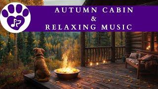  Autumn Cabin in the Woods  | Relaxing Music for Pets 