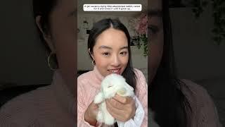a woman saved a newborn rabbit. and the story that followed..