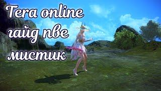  Tera online гайд мистик пве  актуально 2024 для Menma и Asura