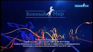 Свидетельство о регистрации сми конный мир (17.09.2019) #телефап #новоетв #конныймир #телевидение