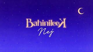 Nej' - Bahinileek (Lyrics Video)