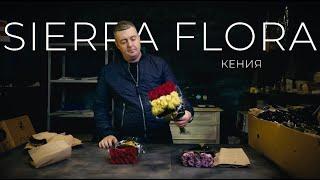 Роза MIX 40см. | Плантация Sierra Flora, Кения