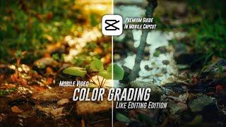 Color Grading like - EDITING EDITION in Capcut ( A-Z Color Grading for Beginners! )