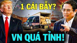 Mỹ Mở Toang Cửa Giao Thương Việt Nam: Cạm Bẫy Hay Bệ Phóng?