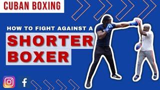 CUBAN BOXING: How to fight against a SHORTER BOXER!!!