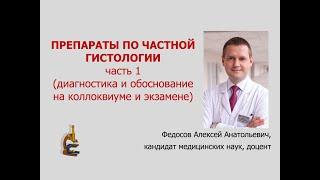 ПРЕПАРАТЫ ПО ЧАСТНОЙ ГИСТОЛОГИИ. Ч. 1 (диагностика и обоснование на коллоквиуме и экзамене)