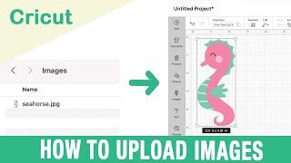 How to Upload an Image into Cricut Design Space | Beginner Design Space Tutorials