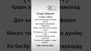шайх Саъдӣ Шерози #обуна_шавед_дустон #рекомендации #гариби #топ #илм #саъди #viral #газал #шеър