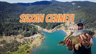 Sazan Cenneti. Carp Paradise Sazan avındayız. #sazan #fishing #carpfishing #camping