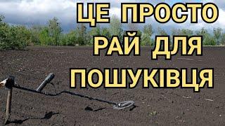 ДОЩ - ЦЕ ДО СРІБЛА▪️ ЗНАЙШОВ НЕБИТЕ ПОСЕЛЕННЯ БІЛЯ РІЧКИ▪️КОП 2024 УКРАЇНА▪️КОП НА ПОЛІ▪️