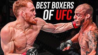 Top 10 Best Boxers in the UFC Today!  #Shorts #ShortVideos