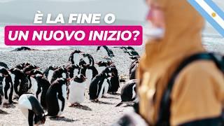 Vediamo i PINGUINI e ripartiamo SENZA una meta  [S1 - EP58]