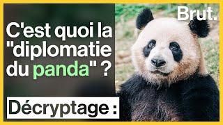 C'est quoi la "diplomatie du panda" ?