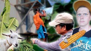 Building CAFE in the Philippines. Harvested TONS of corn