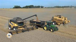 New Holland TF78 Elektra Plus & CR9070 Elevation | NH Rotary Harvest | Combines Part 3 DVD