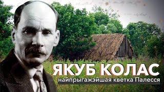 Якуб Колас: найпрыгажэйшая кветка Палесся | ЗАПІСКІ НА ПАЛЯХ