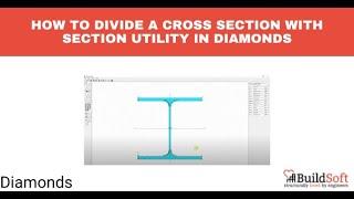 How to divide a cross section with Section Utility in Diamonds