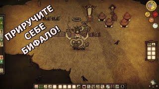 Гайд по приручению бифало. Don't Starve Together