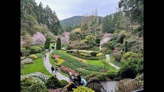 The BUTCHART GARDENS [4k] BEST GARDEN IN NORTH AMERICA - Vancouver Island, Canada.