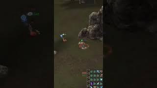 Забавный момент со стрима #гве #gve #lineage2 #lineage #thewalli