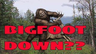 So You've Killed a Bigfoot | NOW WHAT?? | Government Knowledge of BIGFOOT