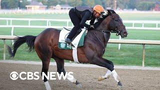 Belmont Stakes to host rematch of the top 3 Kentucky Derby finishers