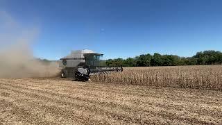 Gleaner R62 harvesting soybeans at Stroda Farms in 2023