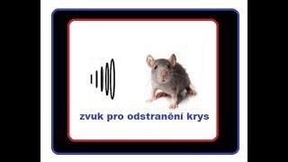 sound to remove rats - anti-rat frequency