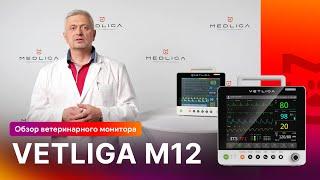 Обзор ветеринарного монитора пациента VETLIGA M12